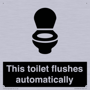 This toilet flushes automatically